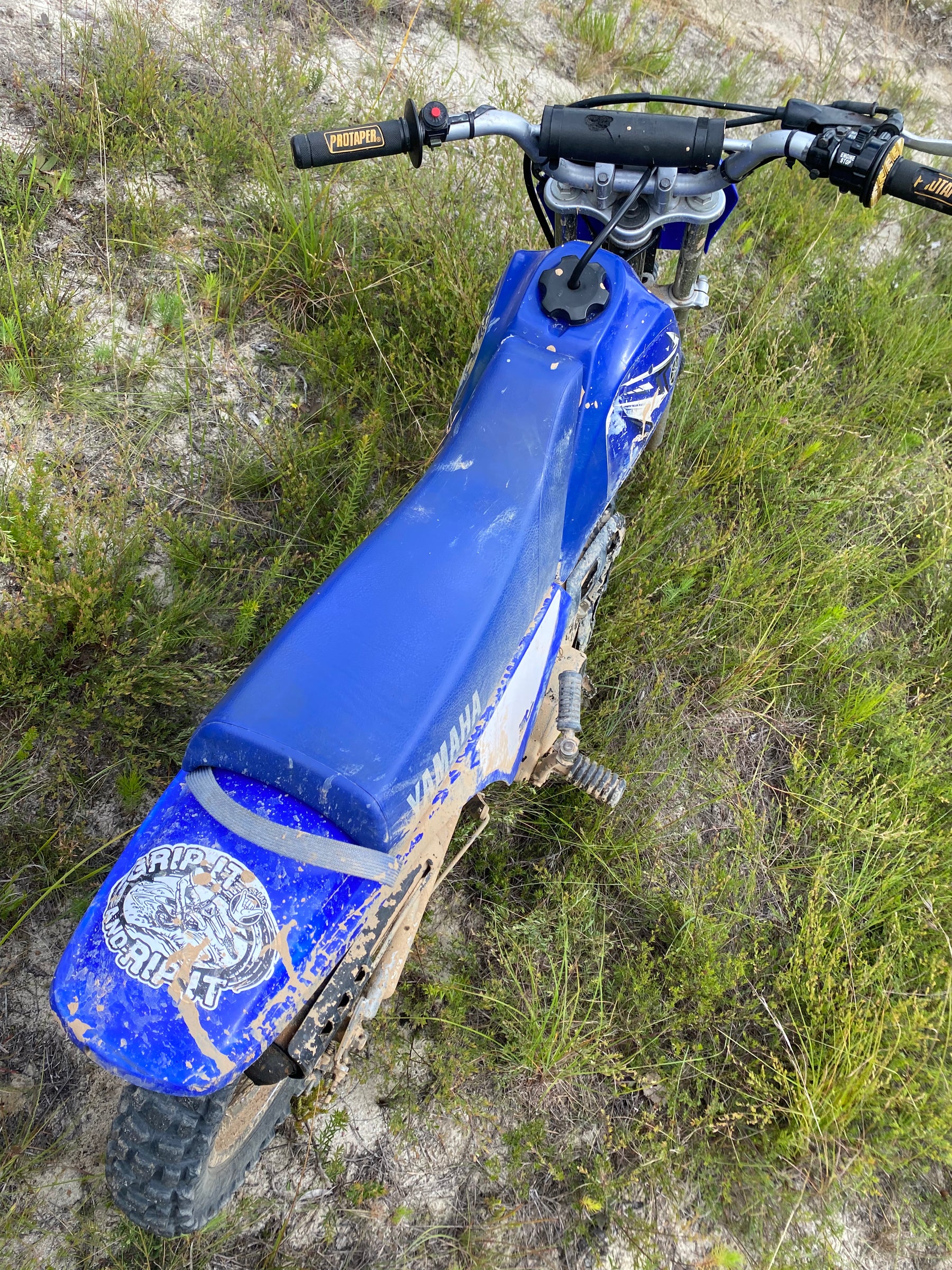"Grip It & Rip It" Sticker